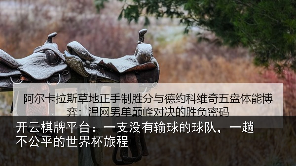 开云棋牌平台：一支没有输球的球队，一趟不公平的世界杯旅程