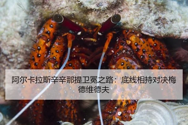 a-er-ka-la-si-xin-xin-na-ti-wei-mian-zhi-lu-di-xian-xiang-chi-dui-jue-mei-de-wei-de-fu-2-420.jpg