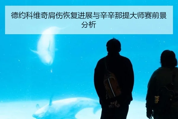 德约科维奇肩伤恢复进展与辛辛那提大师赛前景分析